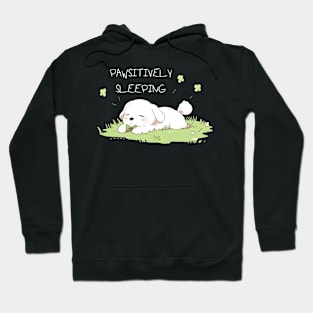 Pawsitively Sleeping Pup Hoodie